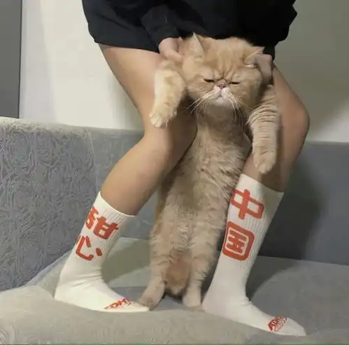 甜酷女生头像