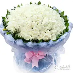 静静花屋99支白玫瑰图片西安购物