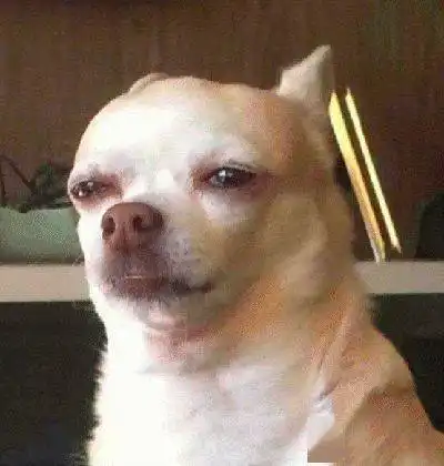 利兹大学新增500,全英大学新冠病例超五千人高校重金严惩违纪学生