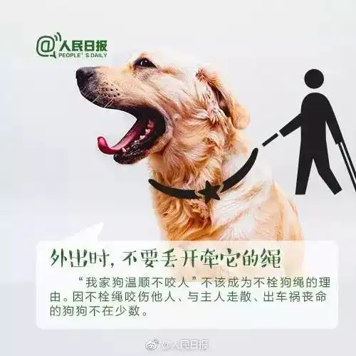 成都少年遭德牧咬伤后续狗主人被拘10天禁养5年快来get正确养犬方式