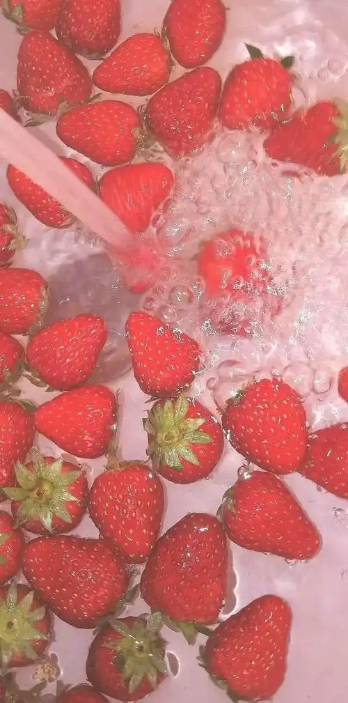 有没有很好看的草莓系列壁纸