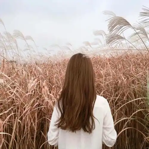 朋友圈很火的经典句子,绝对走心