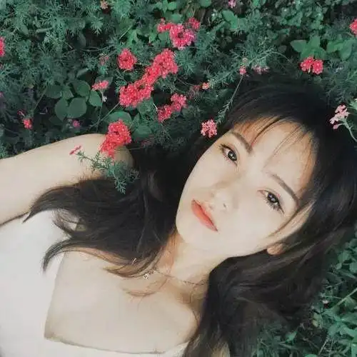 作为隐喻与理念的世界解读刺杀骑士团长