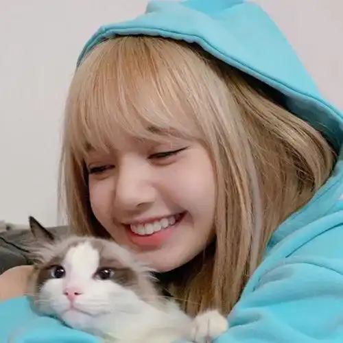 女头blackpink