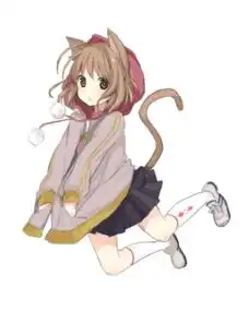 求高清狐狸耳或者猫耳的动漫少女图片在线等