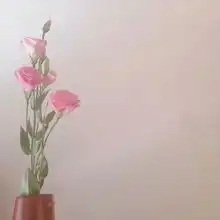 头像,你若安好,便是晴天