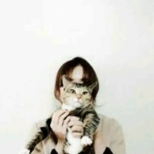 情侣头像男女个抱一只猫,欧美的