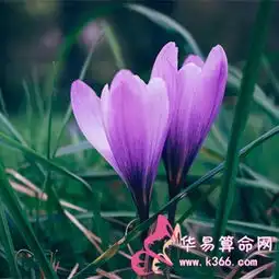 白羊座怎样处理工作压力