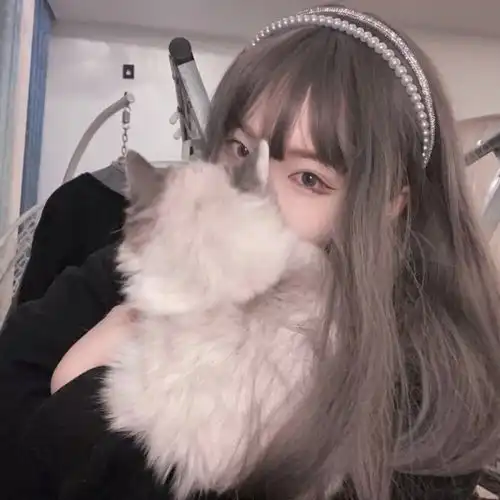 女生抱猫头像我在人间贩卖黄昏,只为收集时间的温柔去见你