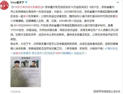 亳州16岁少年王凯涉重大刑案在逃受害人为其婶婶,警方回应悬赏10万