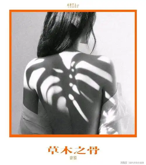 如今46岁的她,依旧随性洒脱端庄典雅