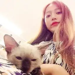 嗯我一个人不用情头