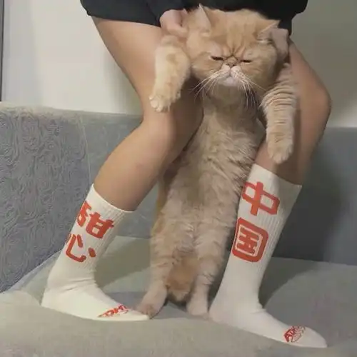 第596啵含泪推荐一波头像