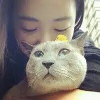 求这个的情侣头像急拜托了