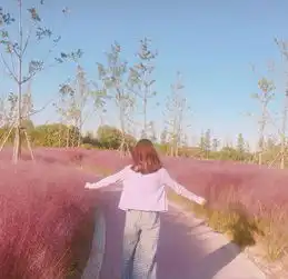 刷爆抖音的粉黛乱子草苏州也有深姐的少女心爆棚了
