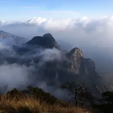 我的收藏