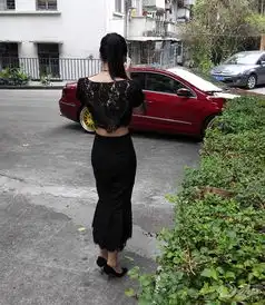 大众cc社区图片集锦