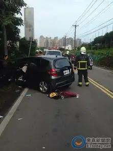 疑抱狗开车分心撞杆狗死女驾驶命危