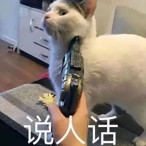有个性的不仅是他们的设计,还有独特的秀场谢幕风格