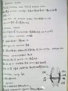 厉害了妹子大二女生解剖学笔记惊艳走红