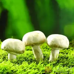 老年斑爸妈远离老年斑这么做9