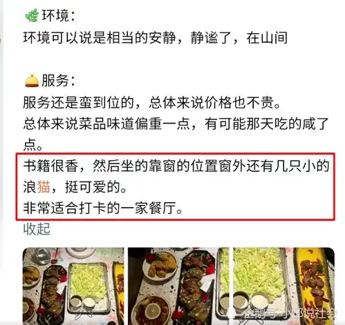 女子餐厅拍野猫被抓伤,连打五针欲索赔偿,店长早提醒过她了