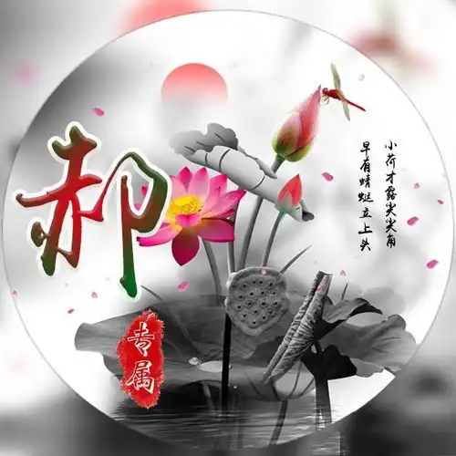 中国风微信头像,唯美古风风名字姓氏头像,映日荷花别样红