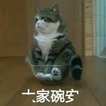 2020背高级风包包,让你看起来就很贵