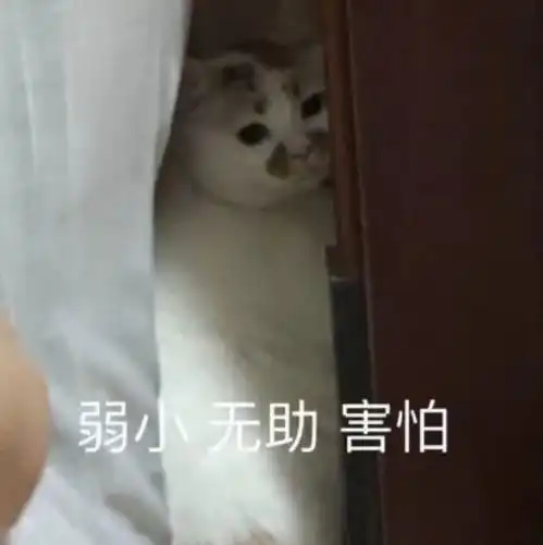 没有傲人的gpa,也能成功逆袭申研