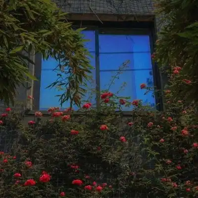 背景图清醒自律知进退明得失