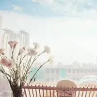 个性唯美清新意境头像尽享风中那淡淡的花香和迷人的爽意