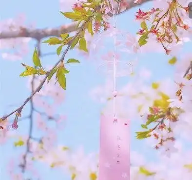 6月中旬运势白羊座喜鹊登梅,桃花脱单成功,双子座厄运散尽陷入情河