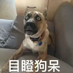 最搞笑你脸上有饭粒,我可以帮你去掉吗
