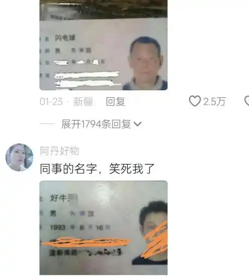 钟姓父母想让双胞胎考公务员,霸气名字曝光,网友命里带编制