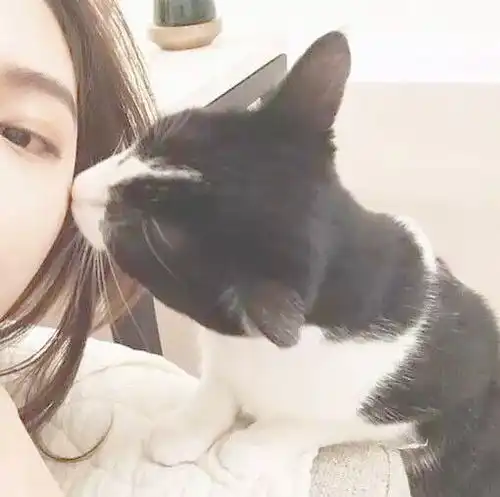 sunny.tq单人情头堆糖,美好生活研究所