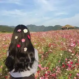 独一无二的女生背影头像小清新意境单身只为等某个人