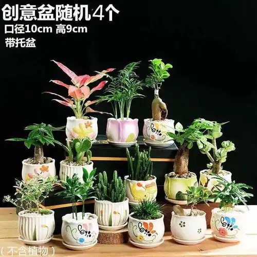 多肉花盆陶瓷批发粗陶特价清仓多肉植物花盆大号室内肉肉小花盆栽
