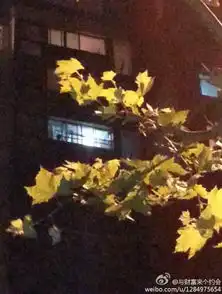 2名女童13楼坠亡事发现场未发现孩子家属