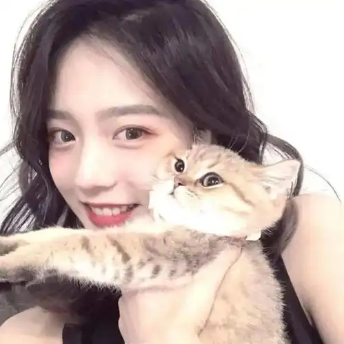 头像图片丨女生头像丨可爱的猫系女头1214