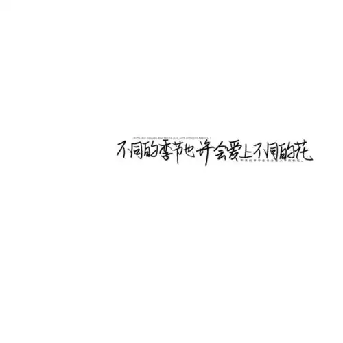 名片壁纸点起一根蜡烛比咒骂黑夜要好
