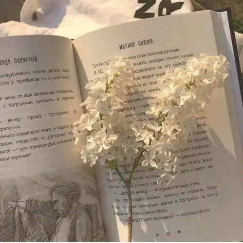 那些读起来想哭的句子