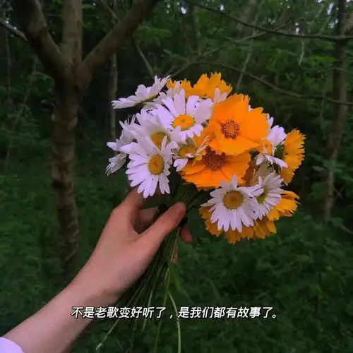 文字背景图唯有热爱能抵岁月漫长