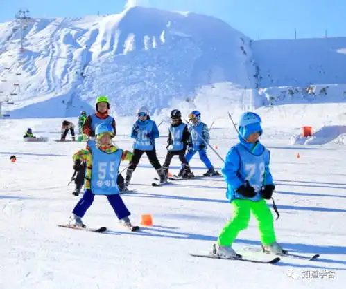 快乐少年滑雪培训班报名了