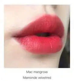 适合黄皮的口红适合黄皮肤女生的复古色系口红推荐