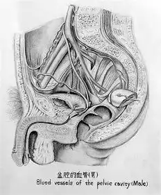 医科大学女生的课堂笔记堪比艺术绘本