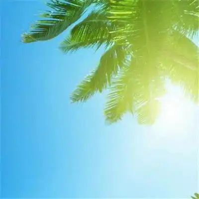 生活的该糊涂时就糊涂,情感的该清楚时就清楚
