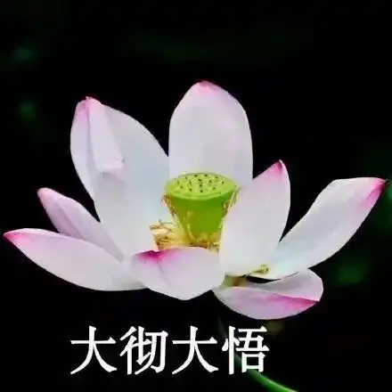 睡觉时手机千万别放床头,不是因为辐射致癌,而是因为