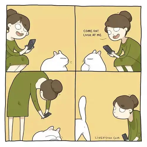铲屎君的日常猫咪