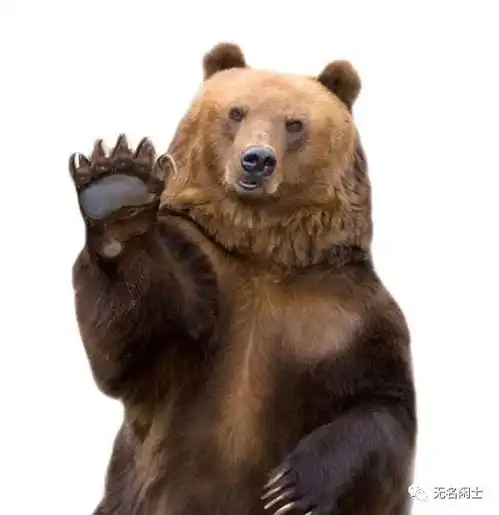 拉钩上吊一百年不许变致时光中践约的旅人