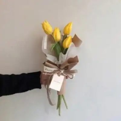 拿心手势只有手图片手拿鲜花只有花图片